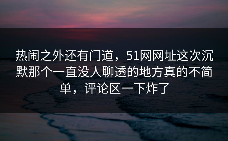 热闹之外还有门道，51网网址这次沉默那个一直没人聊透的地方真的不简单，评论区一下炸了