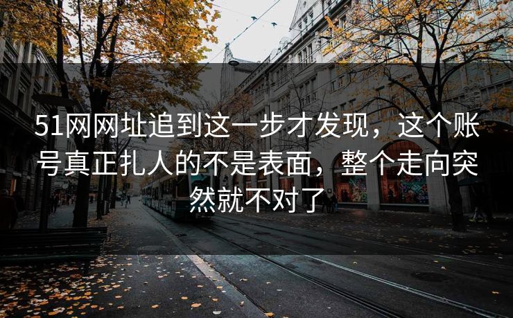 51网网址追到这一步才发现，这个账号真正扎人的不是表面，整个走向突然就不对了