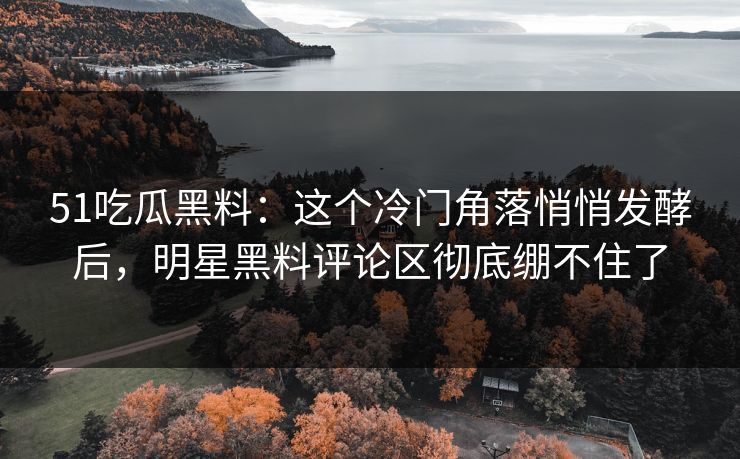 51吃瓜黑料：这个冷门角落悄悄发酵后，明星黑料评论区彻底绷不住了