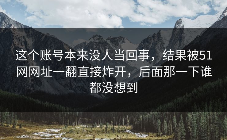 这个账号本来没人当回事，结果被51网网址一翻直接炸开，后面那一下谁都没想到