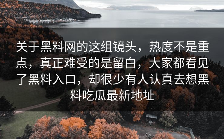 关于黑料网的这组镜头，热度不是重点，真正难受的是留白，大家都看见了黑料入口，却很少有人认真去想黑料吃瓜最新地址