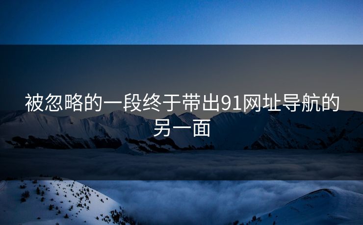 被忽略的一段终于带出91网址导航的另一面