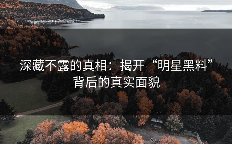 深藏不露的真相：揭开“明星黑料”背后的真实面貌