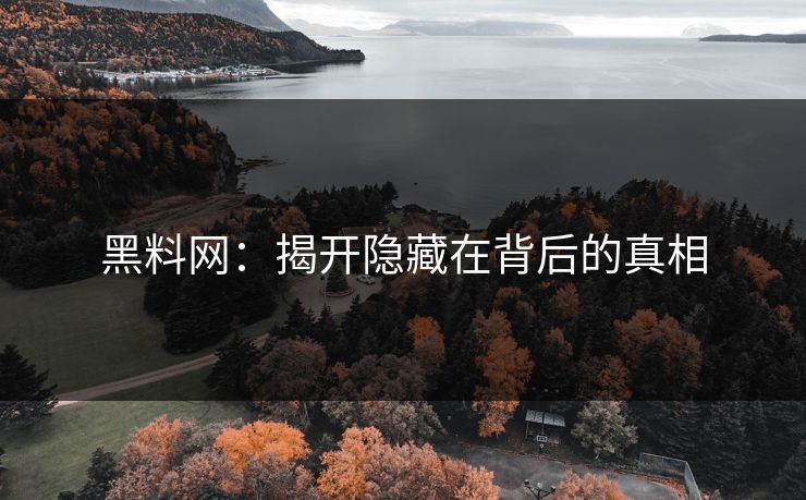 黑料网：揭开隐藏在背后的真相