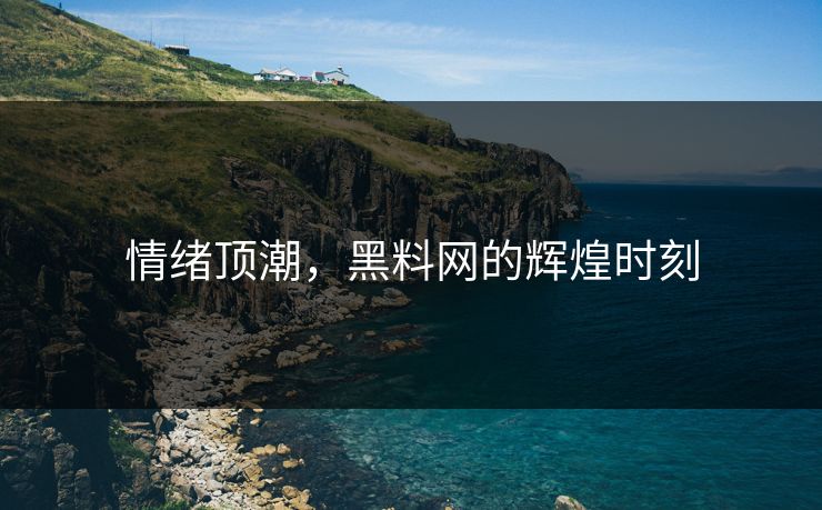 情绪顶潮，黑料网的辉煌时刻