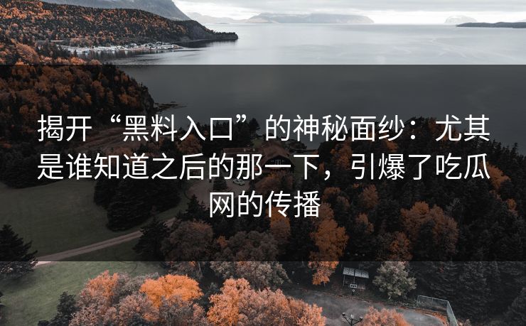 揭开“黑料入口”的神秘面纱:尤其是谁知道之后的那一下,引爆了吃瓜网的传播