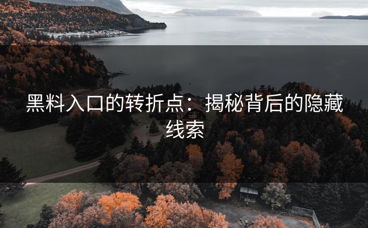 黑料入口的转折点：揭秘背后的隐藏线索