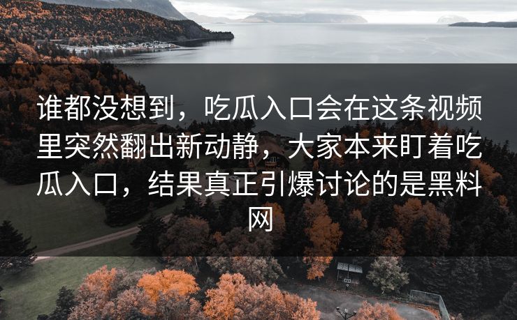谁都没想到，吃瓜入口会在这条视频里突然翻出新动静，大家本来盯着吃瓜入口，结果真正引爆讨论的是黑料网